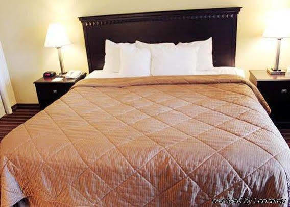 Quality & At Tropicana Field San Petersburgo